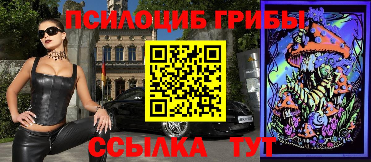 Псилоцибиновые грибы Psilocybe  Вход с VPN  Южноуральск 